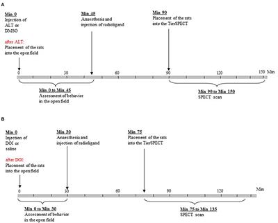 Serotonergic Modulation of Nigrostriatal and Mesolimbic Dopamine and Motor/Exploratory Behaviors in the Rat